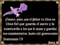 /album/imajenes-textos-biblicos/fto5-jpg1/
